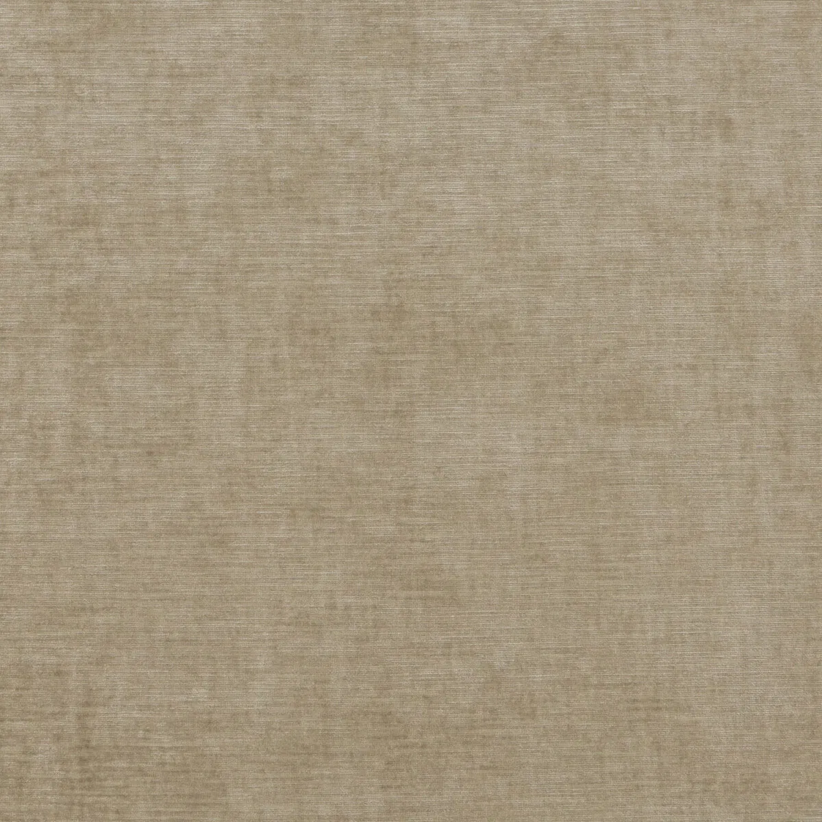 Threads Meridian Velvet Oatmeal Fabric