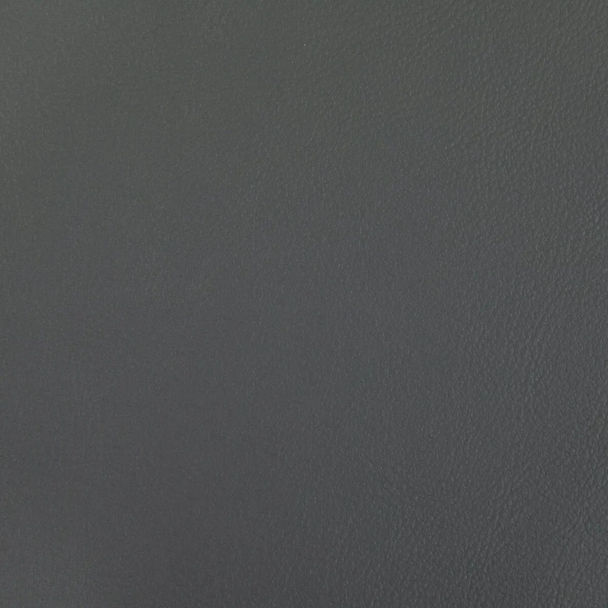 Kravet Rand Shark Fabric