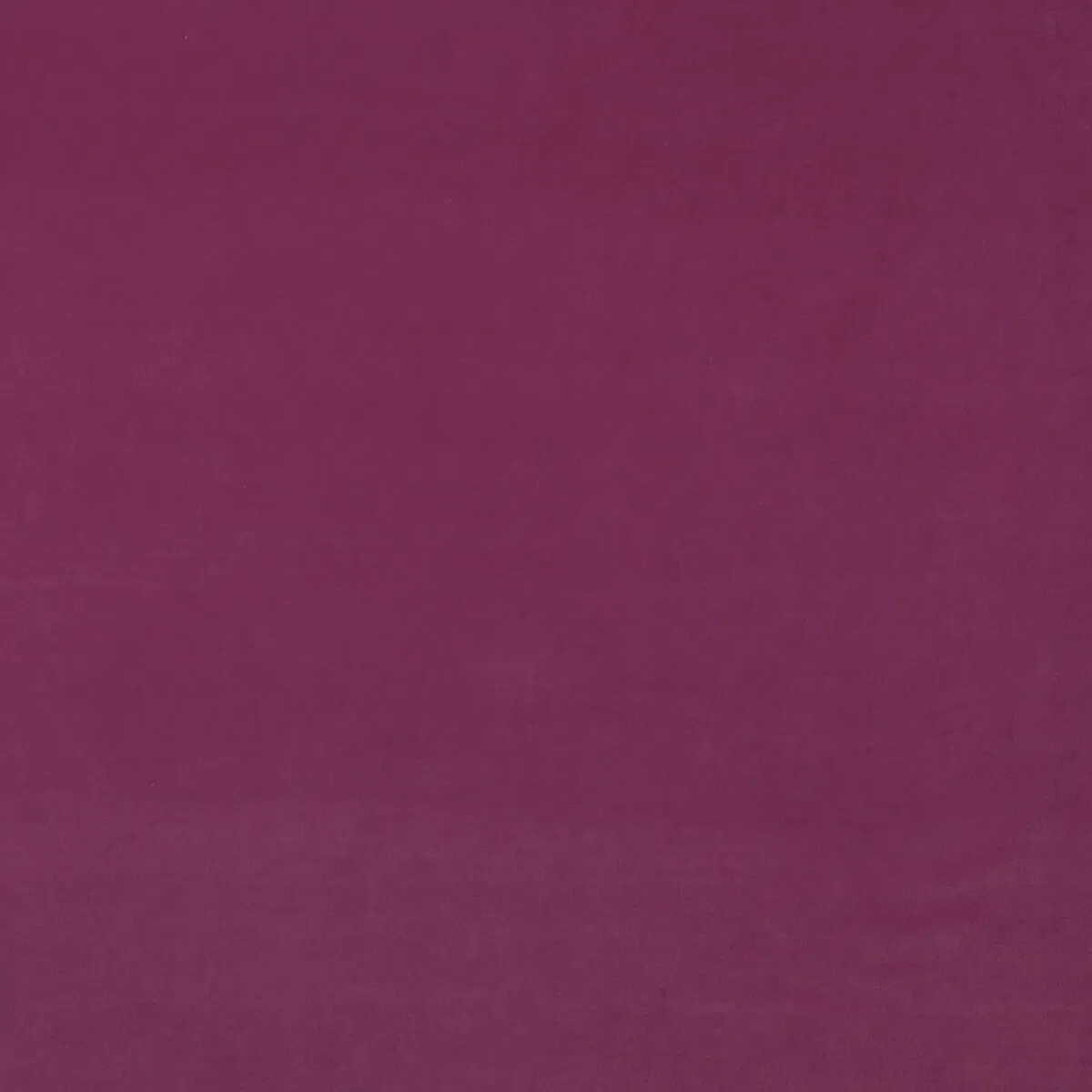 Kravet Medici Geranium Fabric