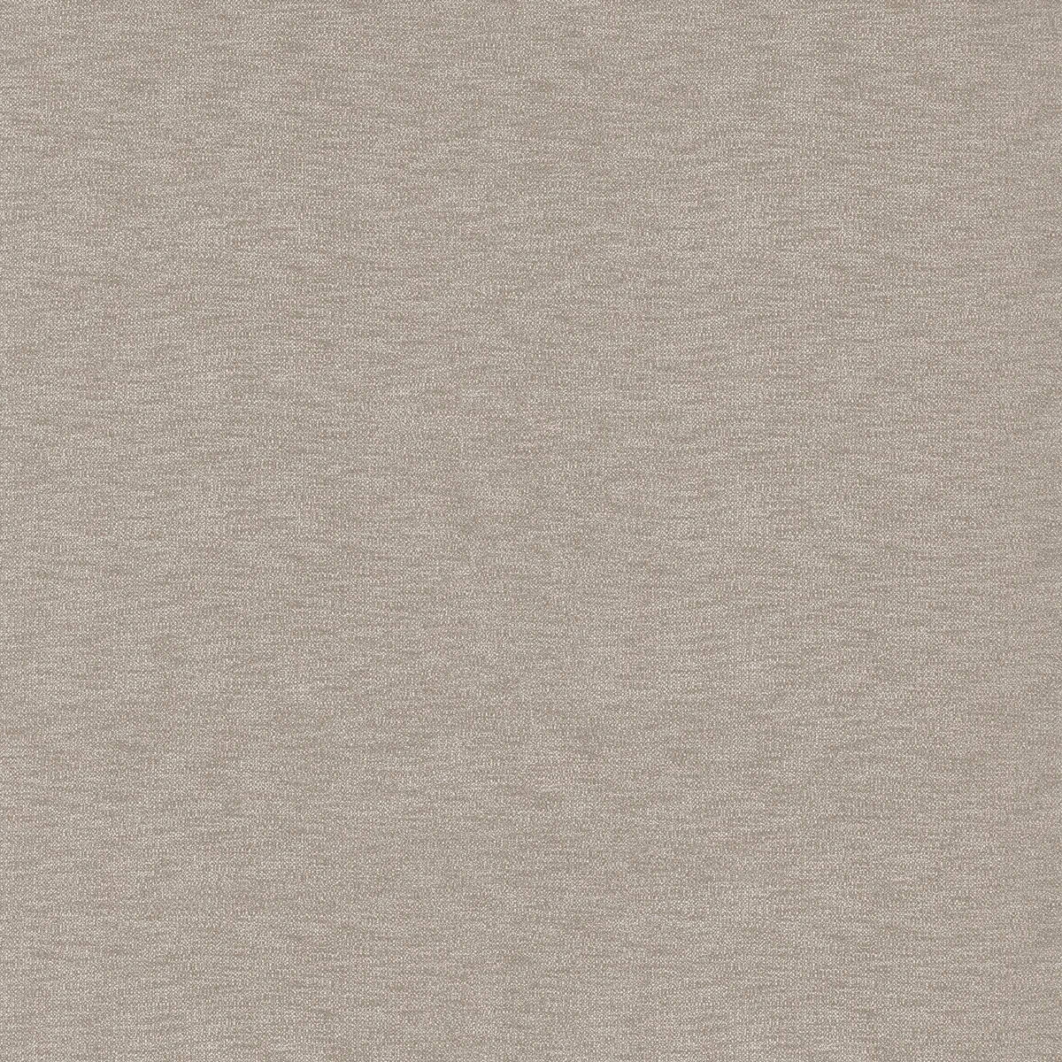 GastÃ³n y Daniela Araxes Camel Fabric