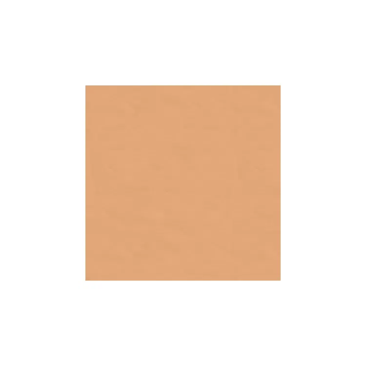Brunschwig & Fils Satin La Tour Saumon Fabric