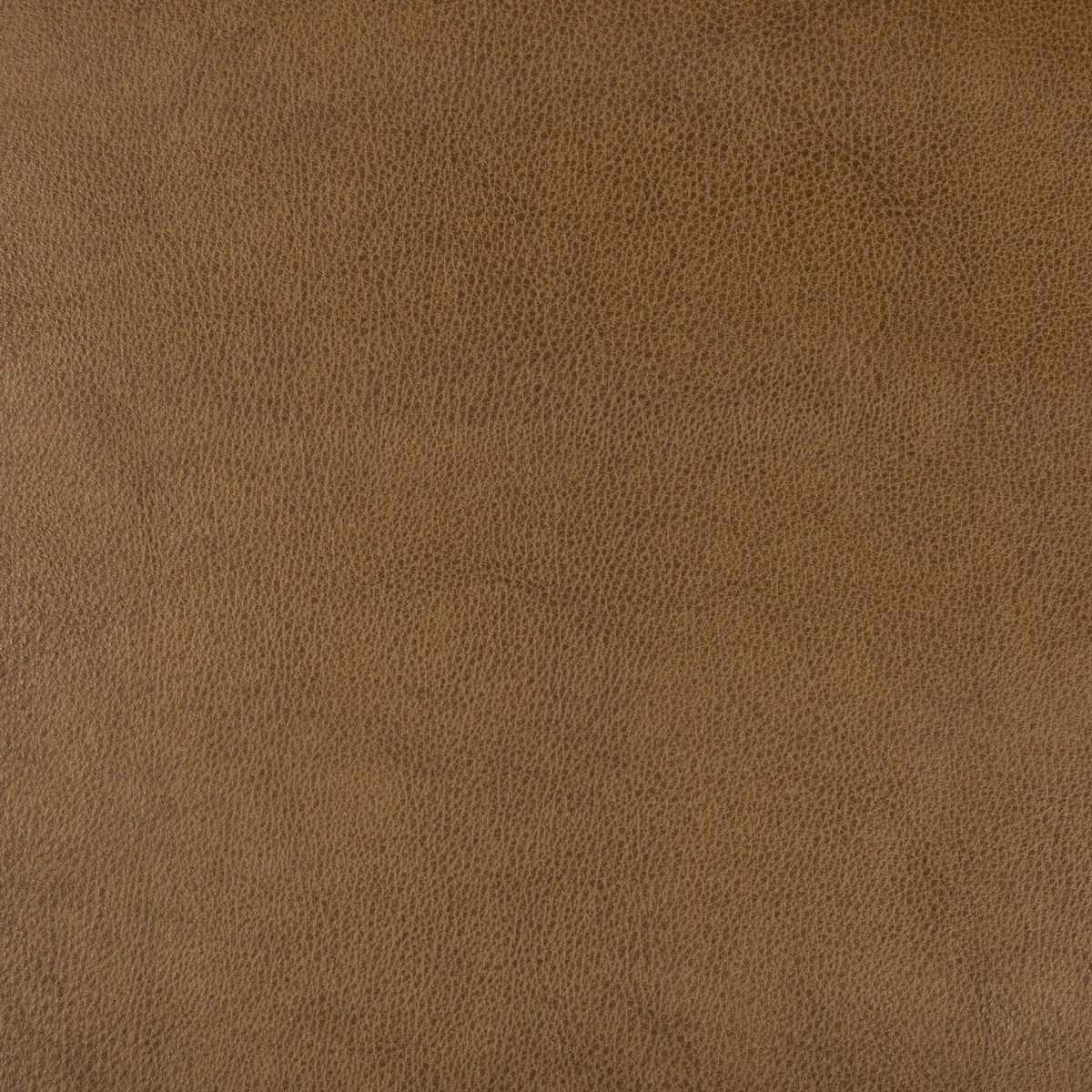 Kravet Design Dust-616 Fabric