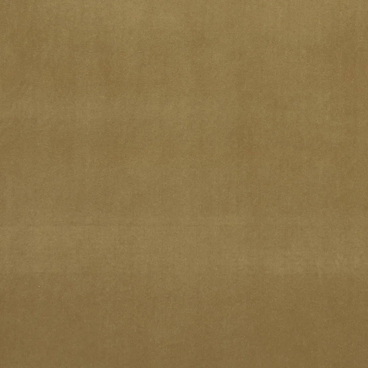 Clarke & Clarke Alvar Antique Fabric