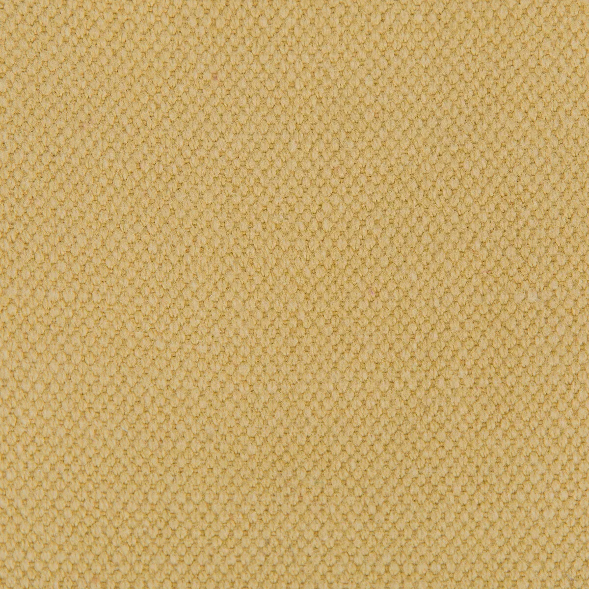 GastÃ³n y Daniela Lima Oro Fabric