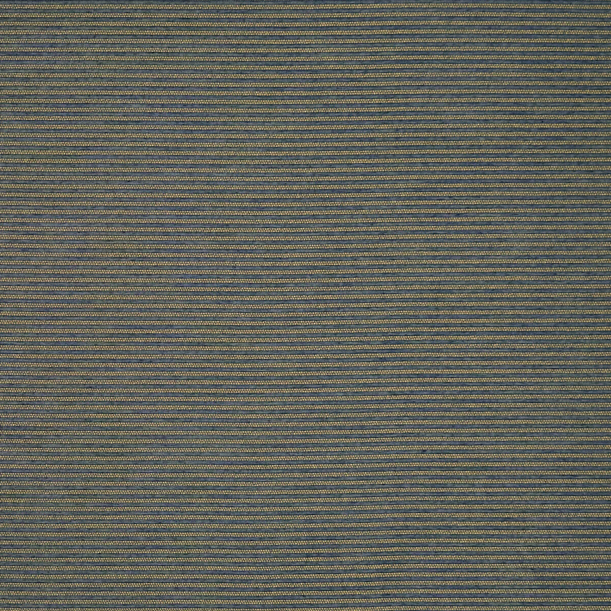 Clarke & Clarke Matteo Midnight/Gold Fabric