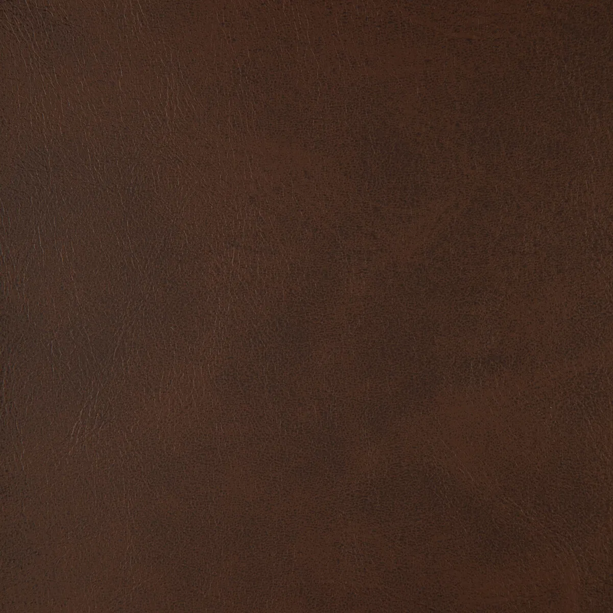 Kravet Alum.66.0 Fabric