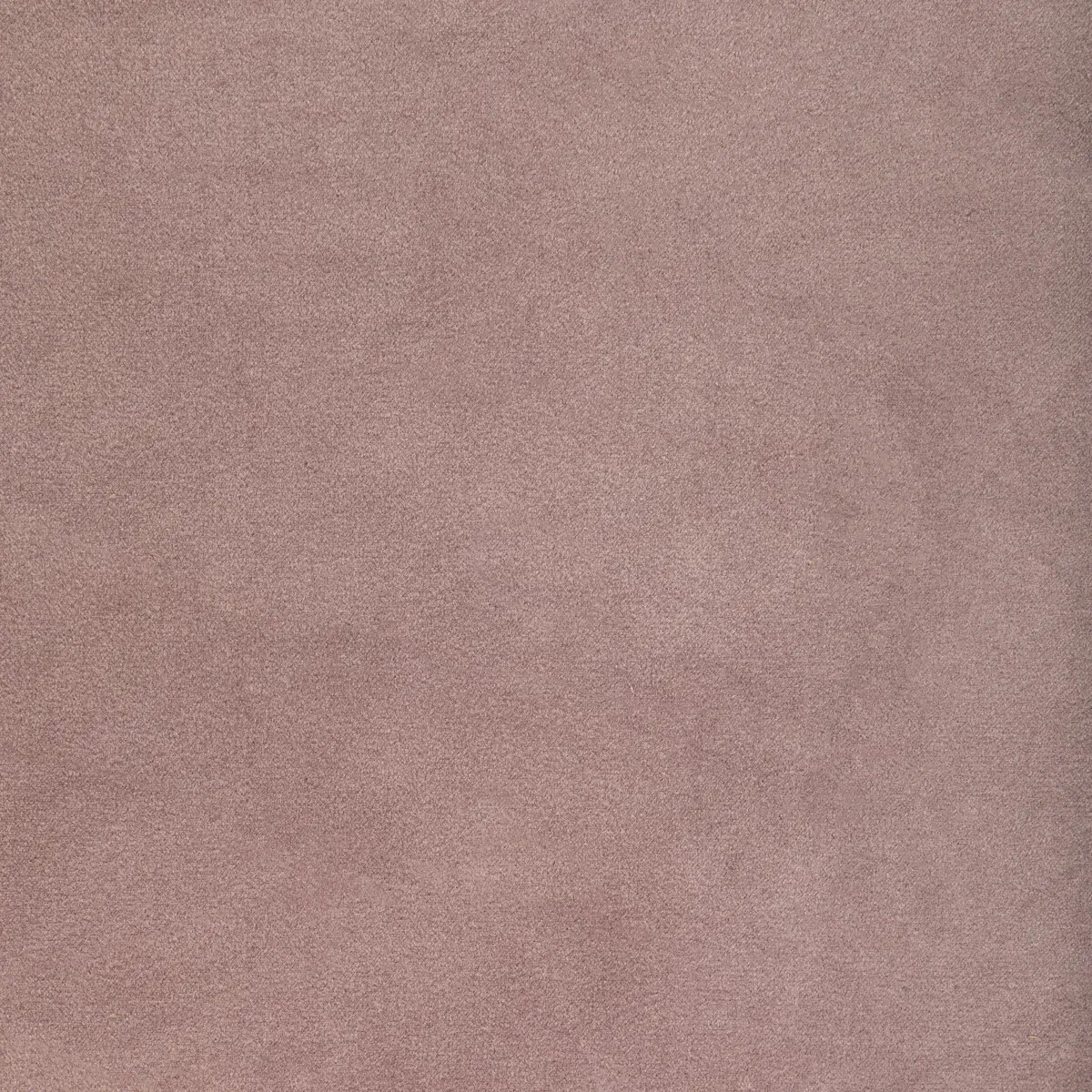 6641-kravet-rocco-velvet-wisteria-fabric-1.webp