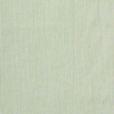 Lee Jofa Captiva Ticking Green Fabric 1 6693-lee-jofa-captiva-ticking-green-fabric-1.webp