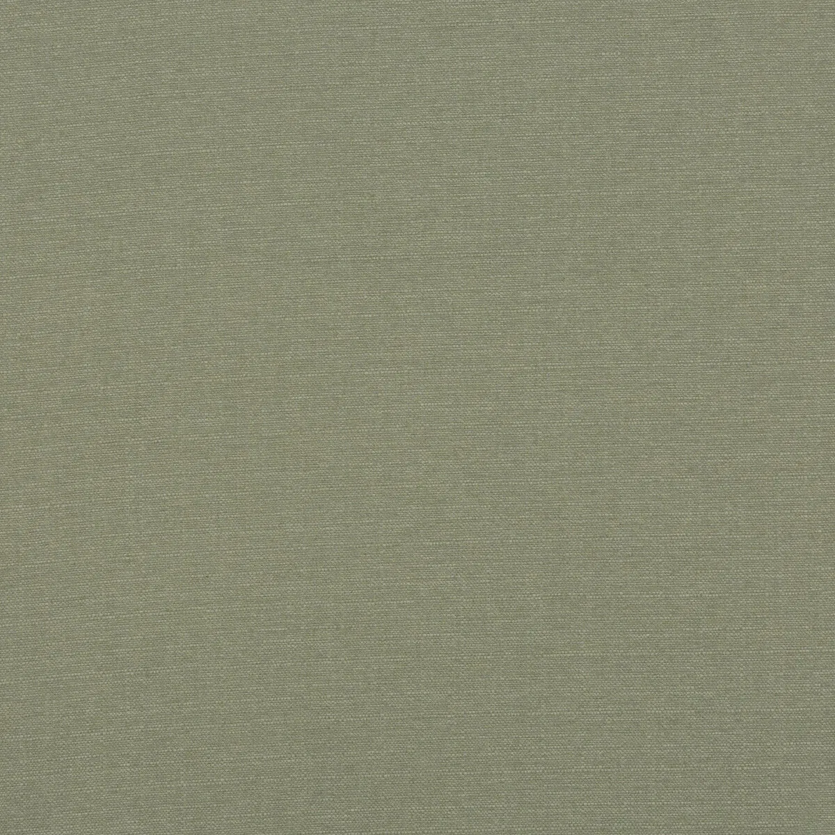 Baker Lifestyle Lansdowne Fern Fabric