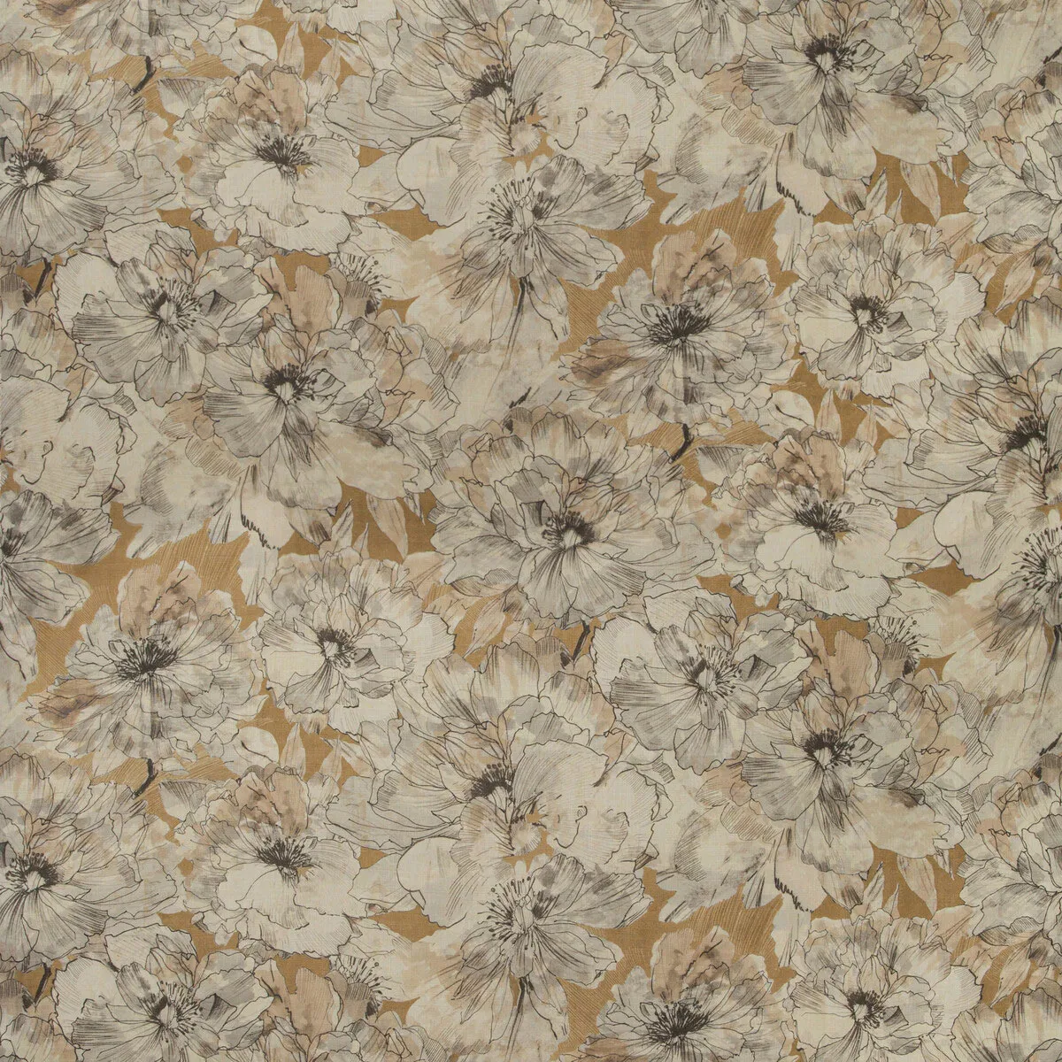 Kravet Ayrlies Tuscan Fabric
