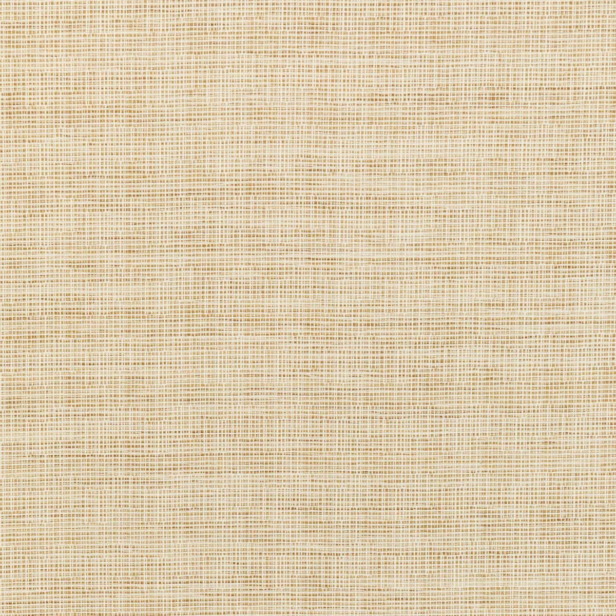 Kravet Smart 36303-16 Fabric