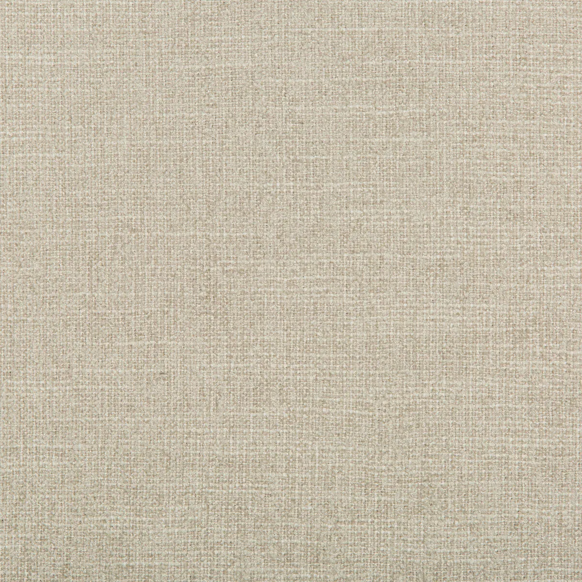 Kravet Adaptable Quartz Fabric