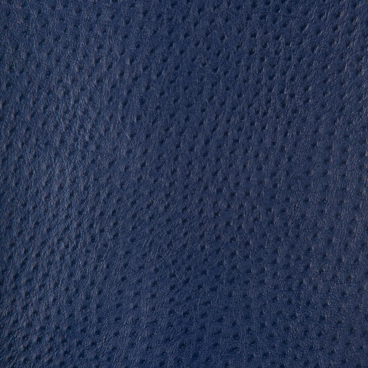 Kravet Delaney.50.0 Fabric