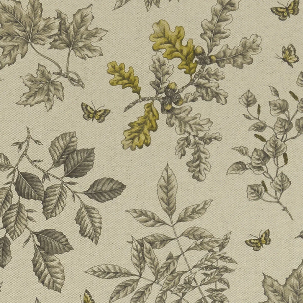 Clarke & Clarke Hortus Charcoal/Ochre Fabric