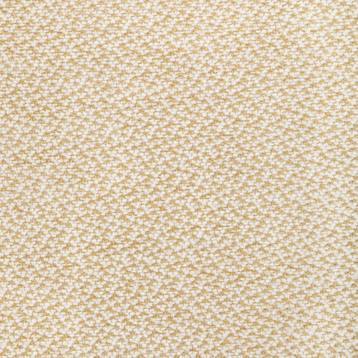 Brunschwig & Fils Sasson Texture Gold Fabric