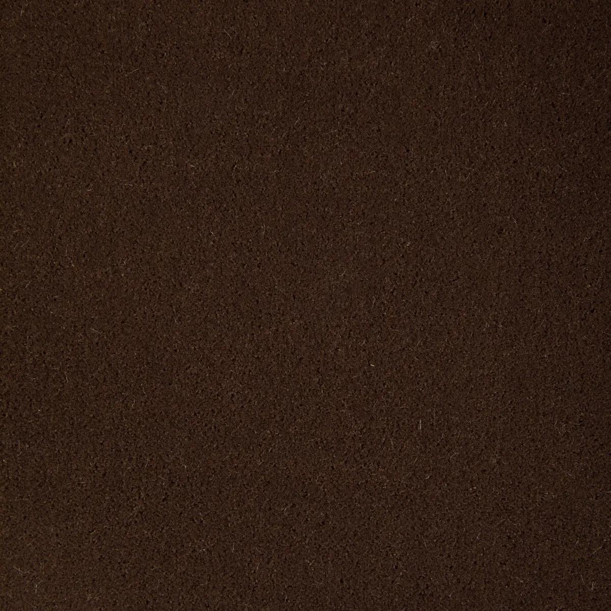 Kravet Fomo Cub Fabric