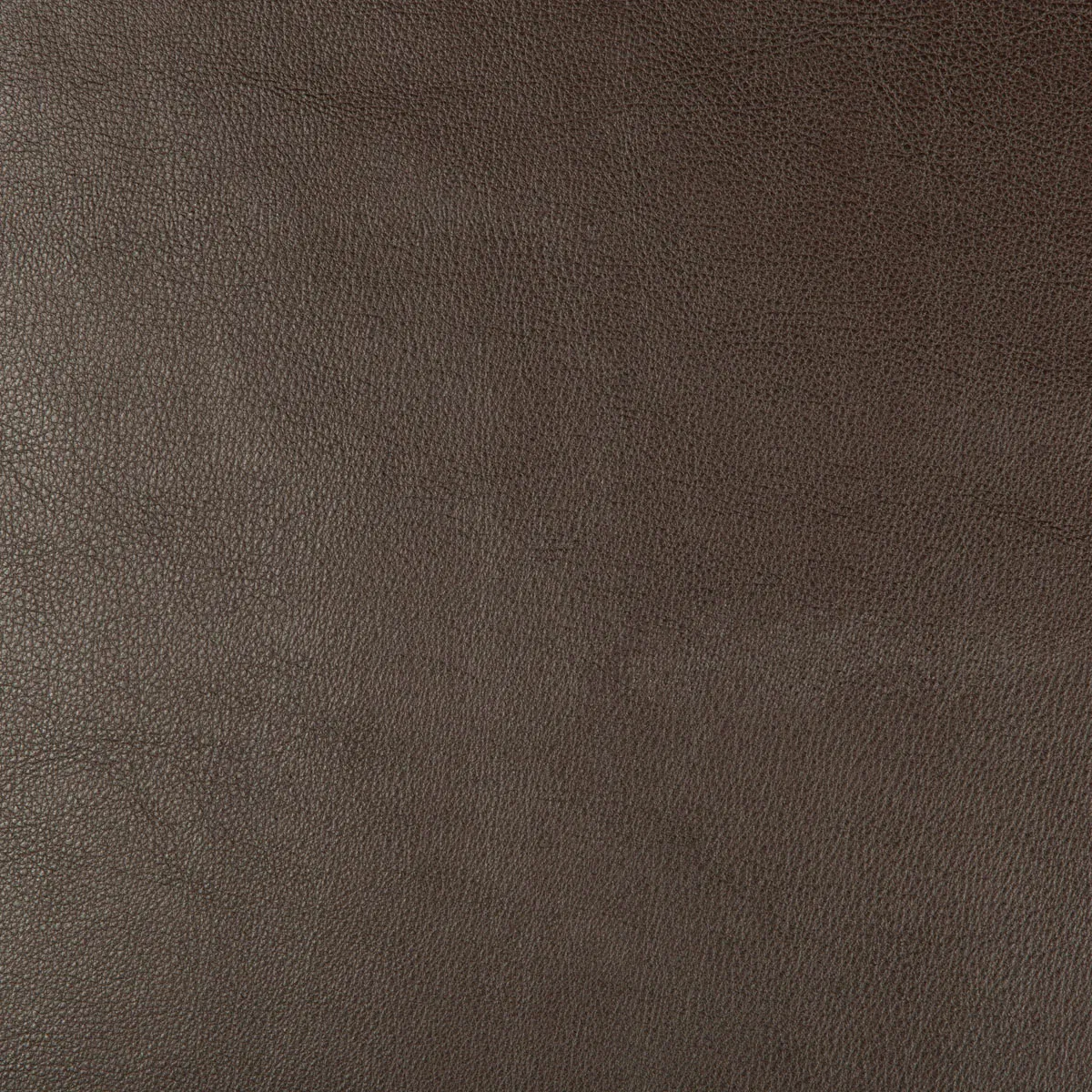 7758-kravet-design-dust-66-fabric-1.webp