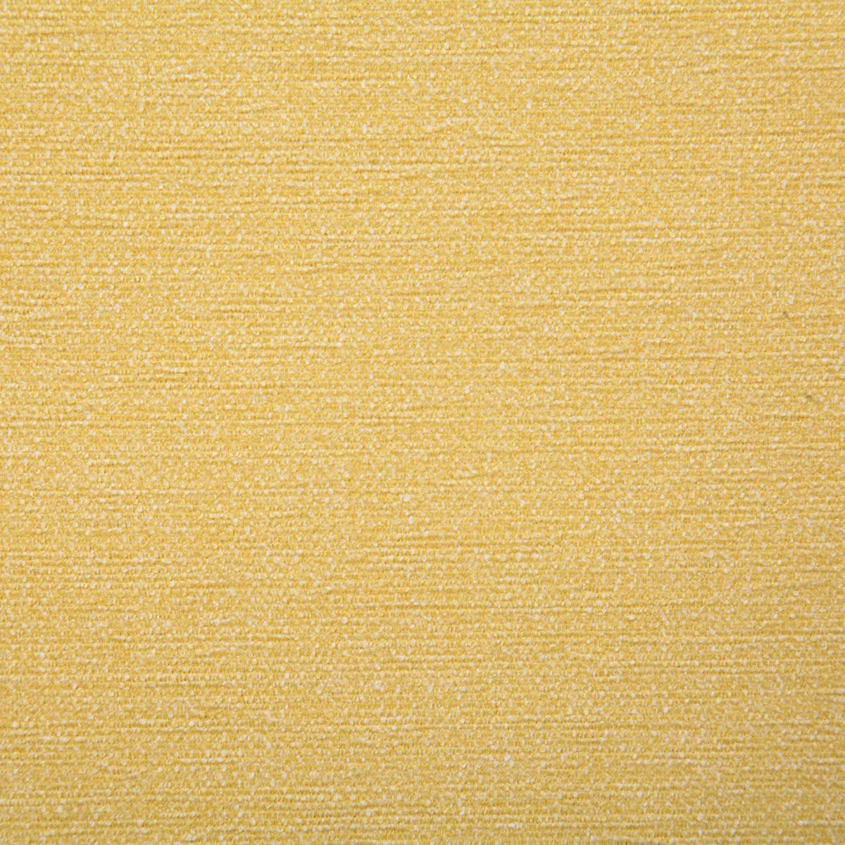 Pindler & Pindler Packwood Buttercup Fabric