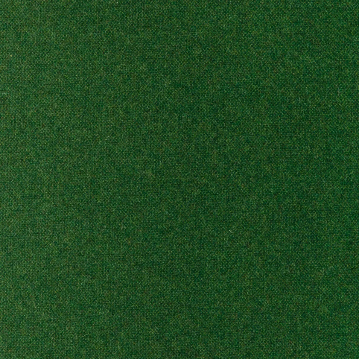 Kravet Manchester Wool Grove Fabric