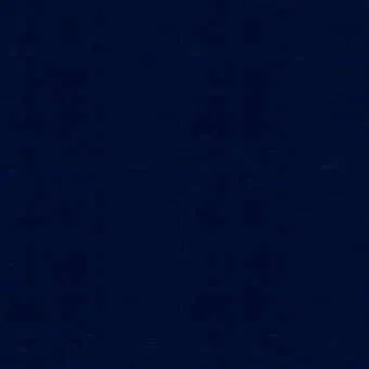 Lee Jofa Modern Canopy Solid Navy Fabric