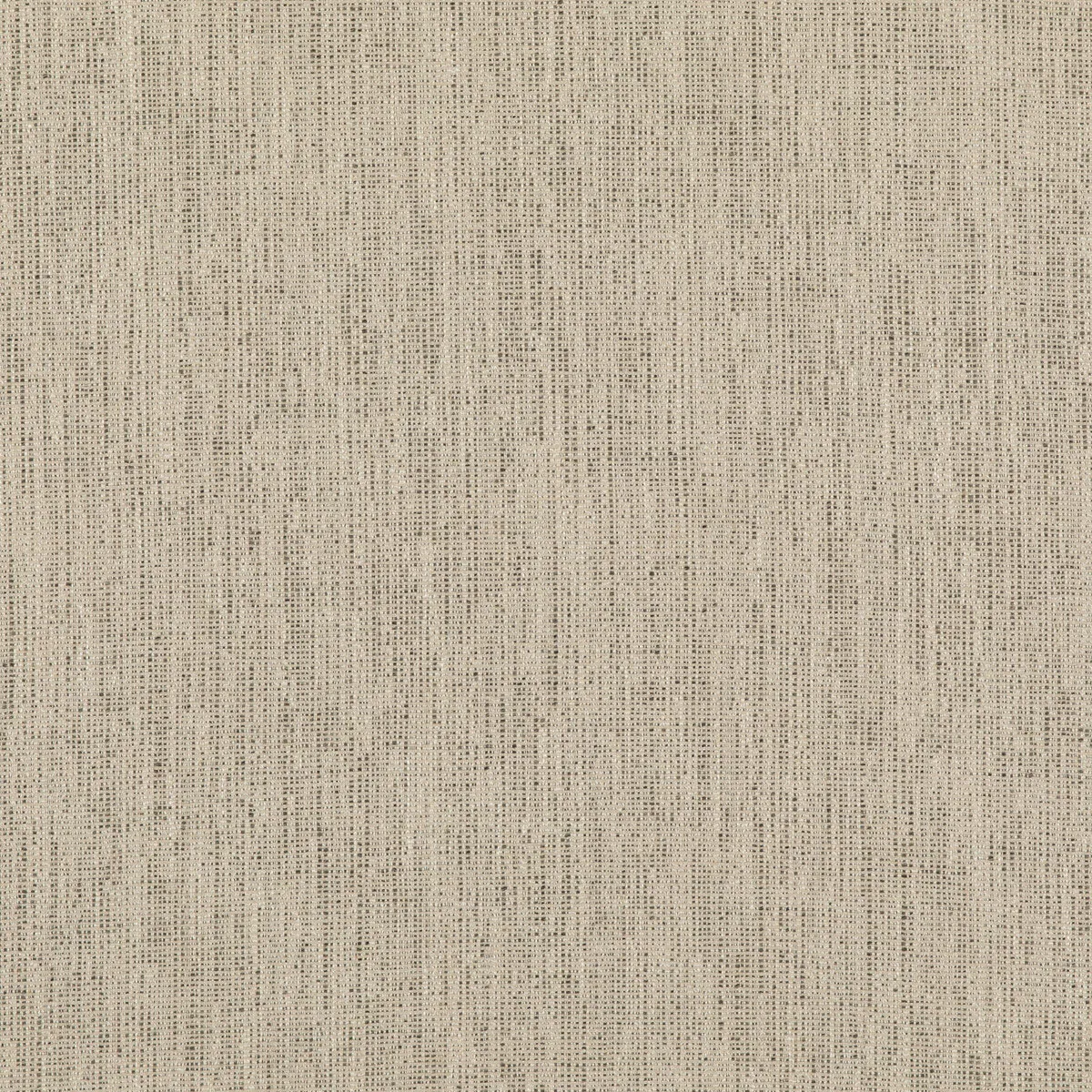 8239-threads-stipple-charcoal-fabric-1.webp