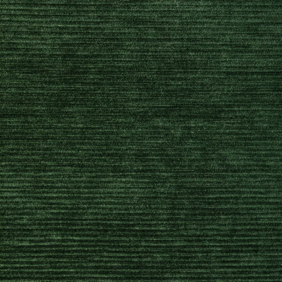 Kravet Smart 36651 3 Fabric