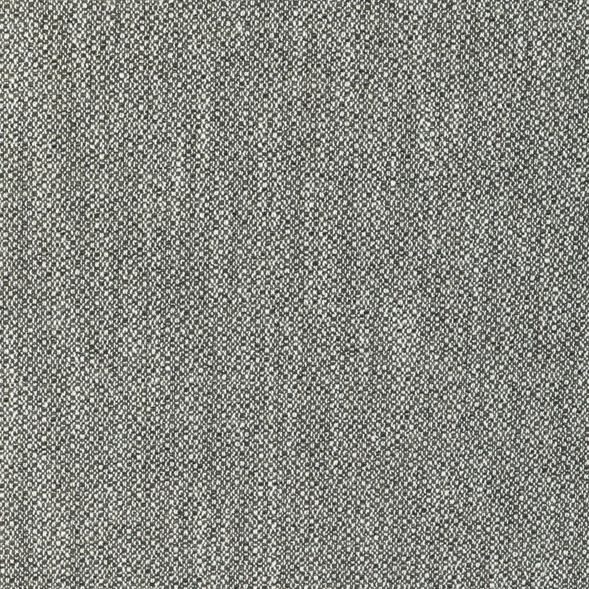 Lee Jofa Modern Torus Flint Fabric