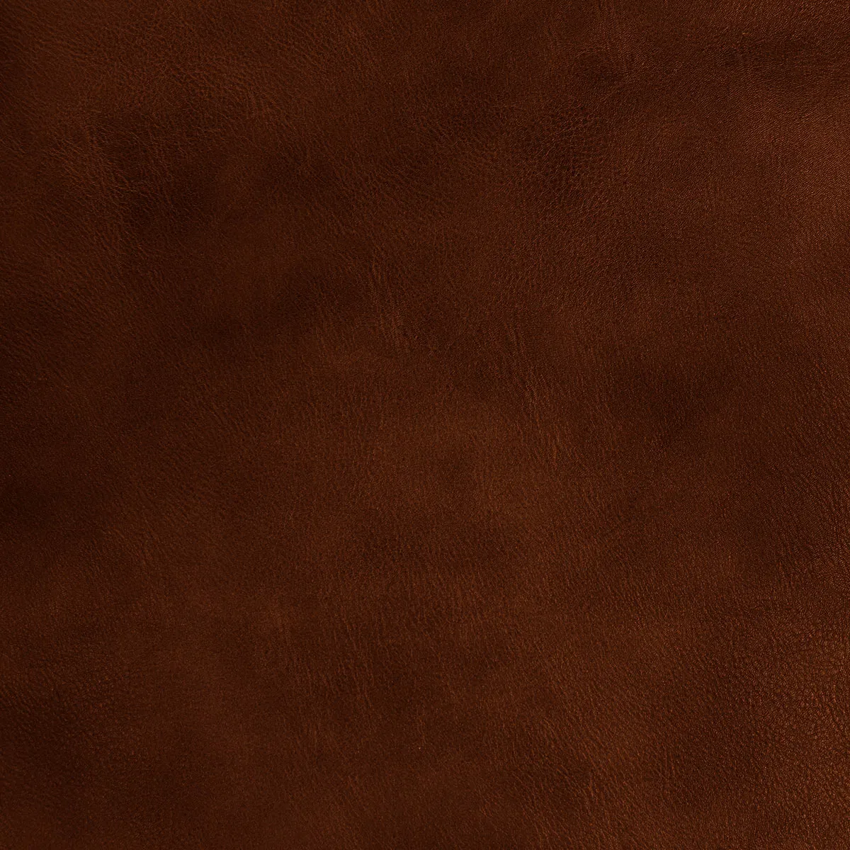 Mitchell Ez-Kleenâ¢ Oracle Beaver Vinyl