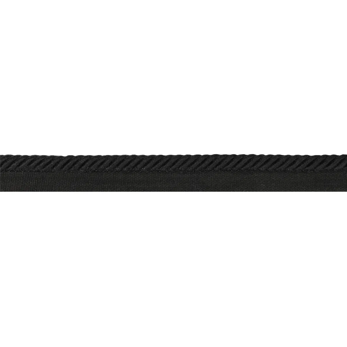 Brunschwig & Fils Barodet Cord Noir Cord Trim
