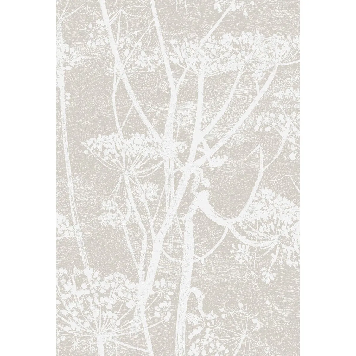 Cole & Son Cow Parsley White Taupe Fabric