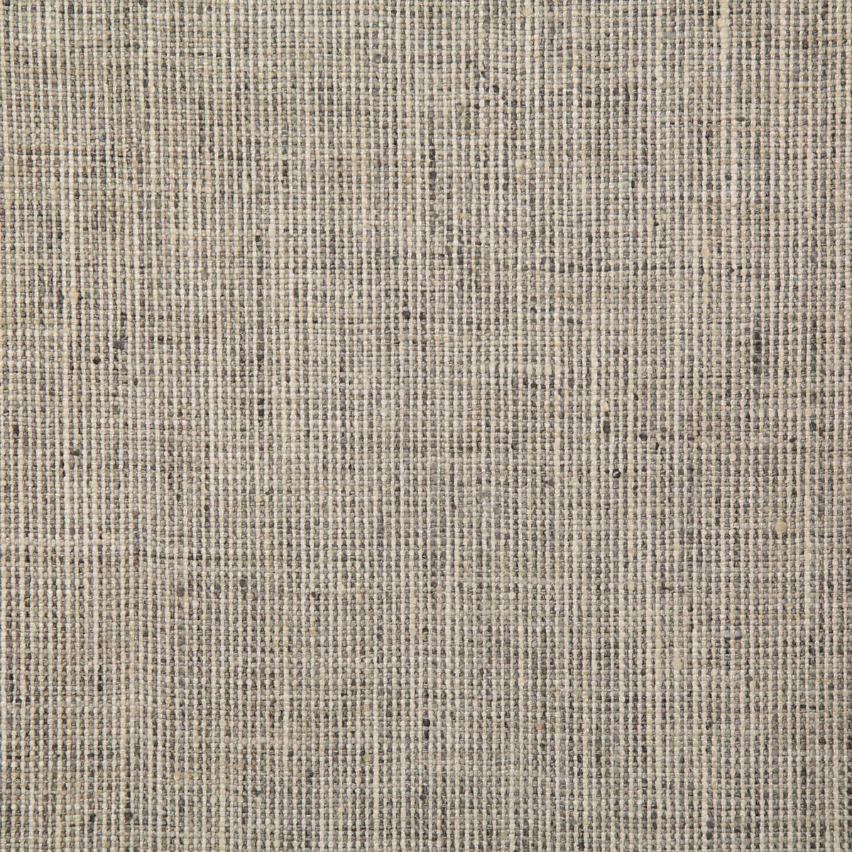 Pindler & Pindler Ryan Ash Fabric