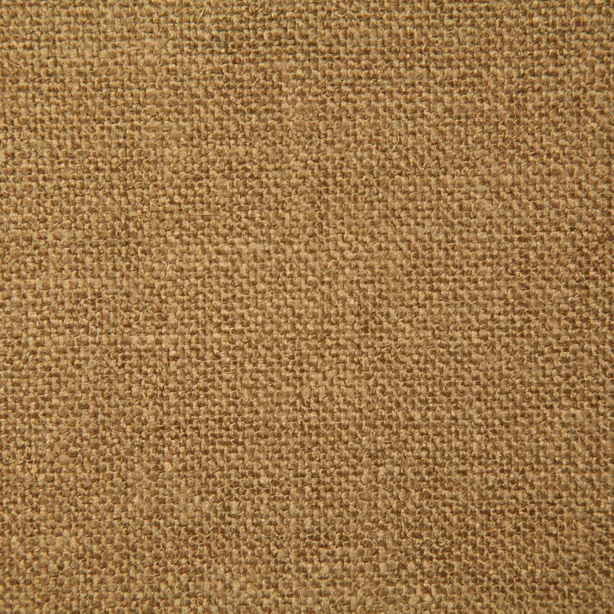 8571-pindler-pindler-dale-golden-fabric-1.webp