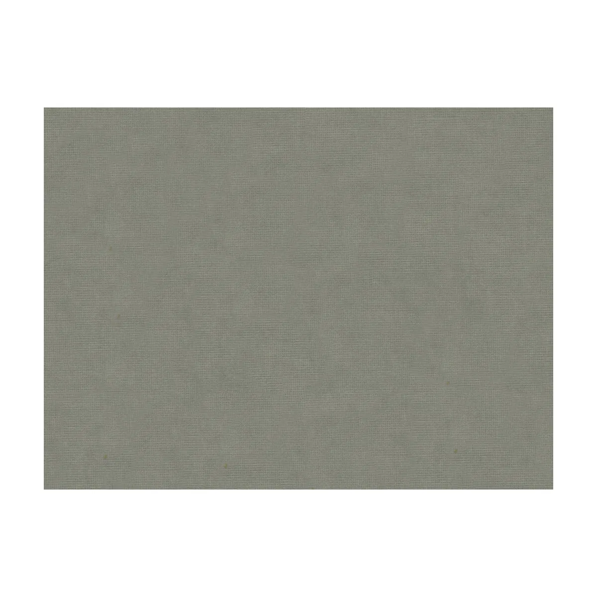 Brunschwig & Fils Charmant Velvet Pewter Fabric 1 8646-brunschwig-fils-charmant-velvet-pewter-fabric-1.webp