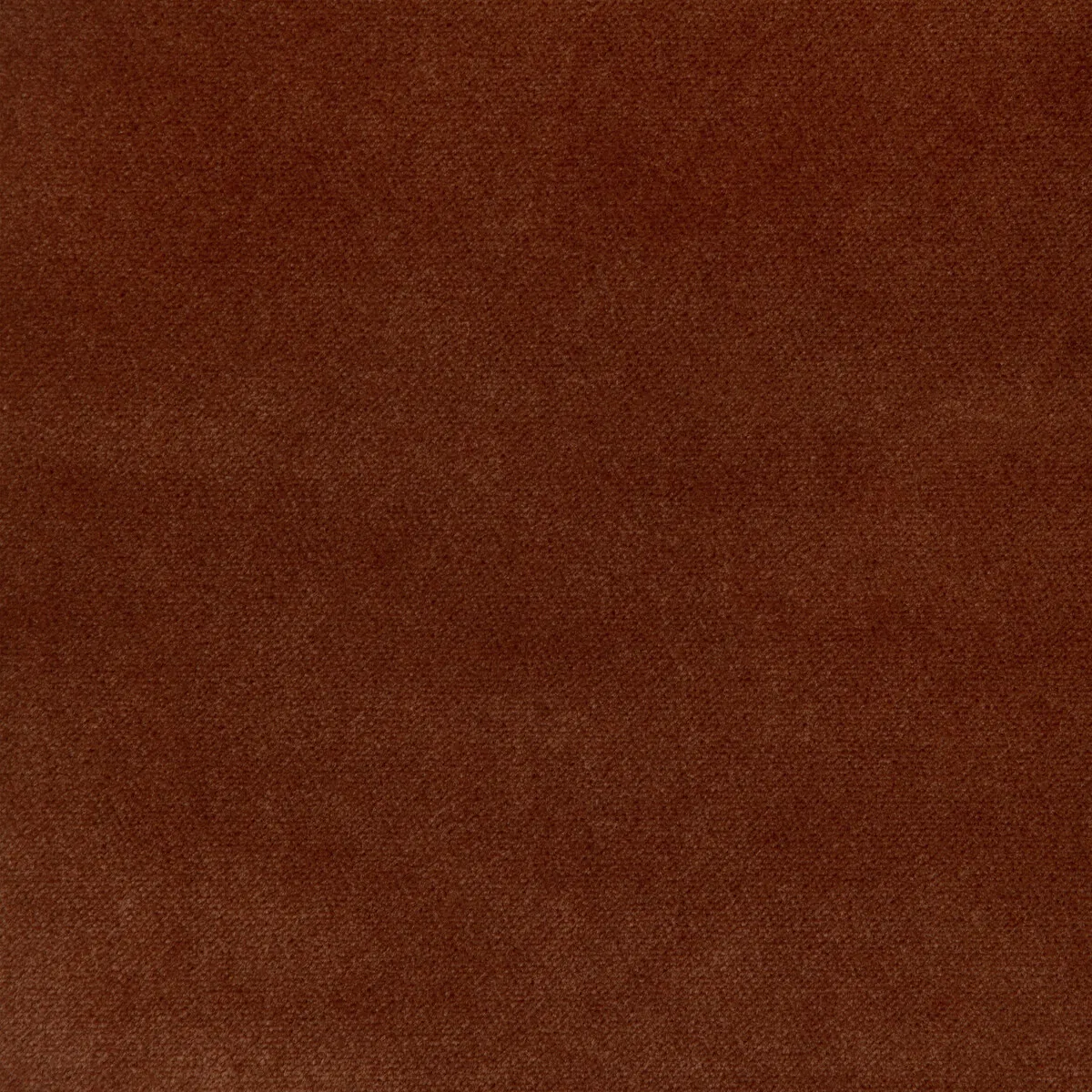 Kravet 37302.24.0 Fabric
