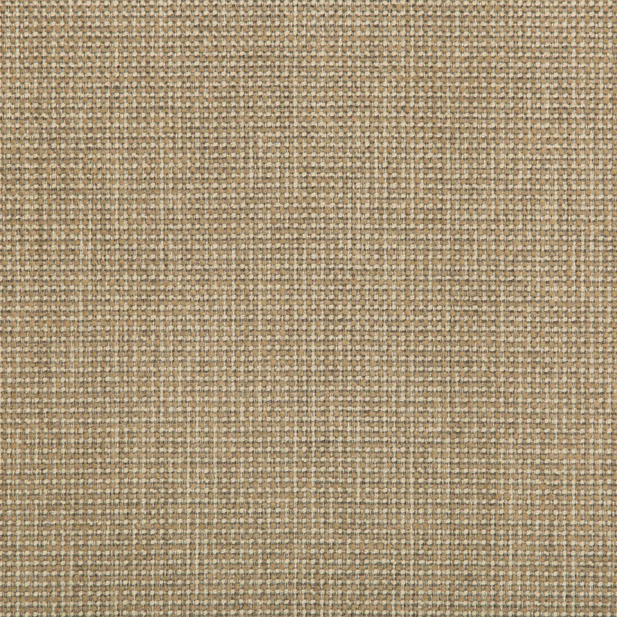 Kravet Burr Flax Fabric