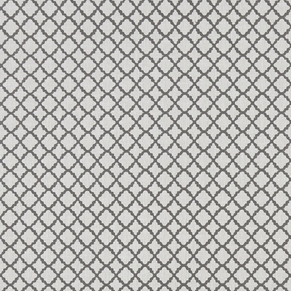 Clarke & Clarke Ariyana Charcoal Fabric