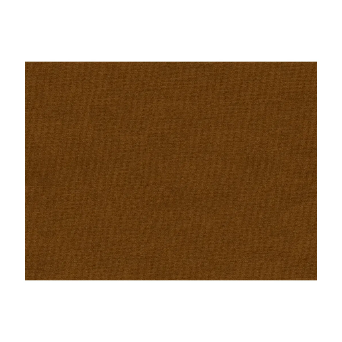 9012-brunschwig-fils-charmant-velvet-biscuit-fabric-1.webp