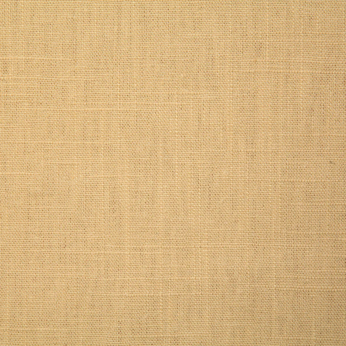 Pindler & Pindler Walter Gold Fabric