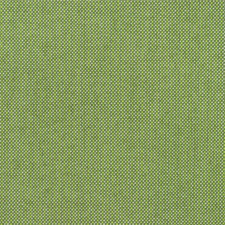 Sunbrella Spectrum Cilantro Fabric