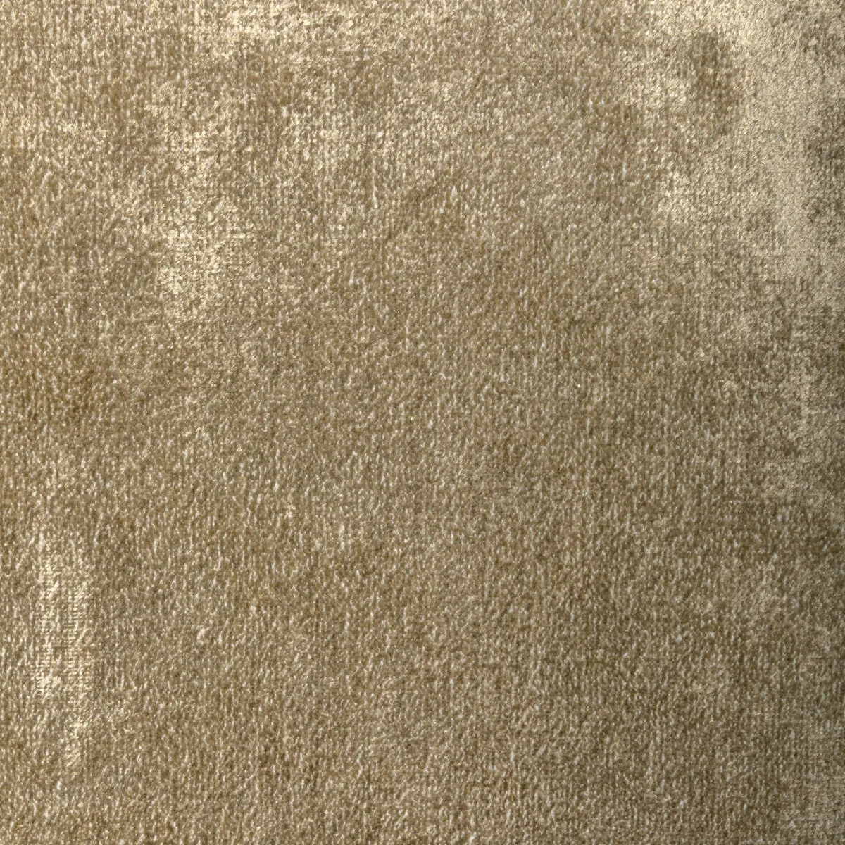 Kravet Plush Nova Gold Fabric 1 9481-kravet-plush-nova-gold-fabric-1.webp