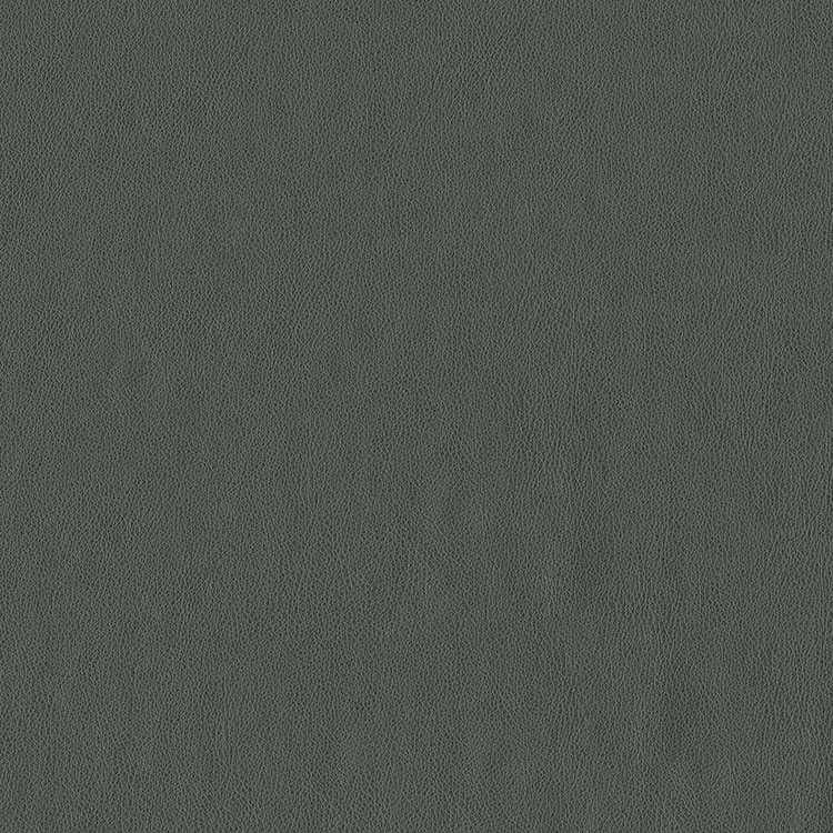 ABBEYSHEA Baldwin 908 Graphite Fabric