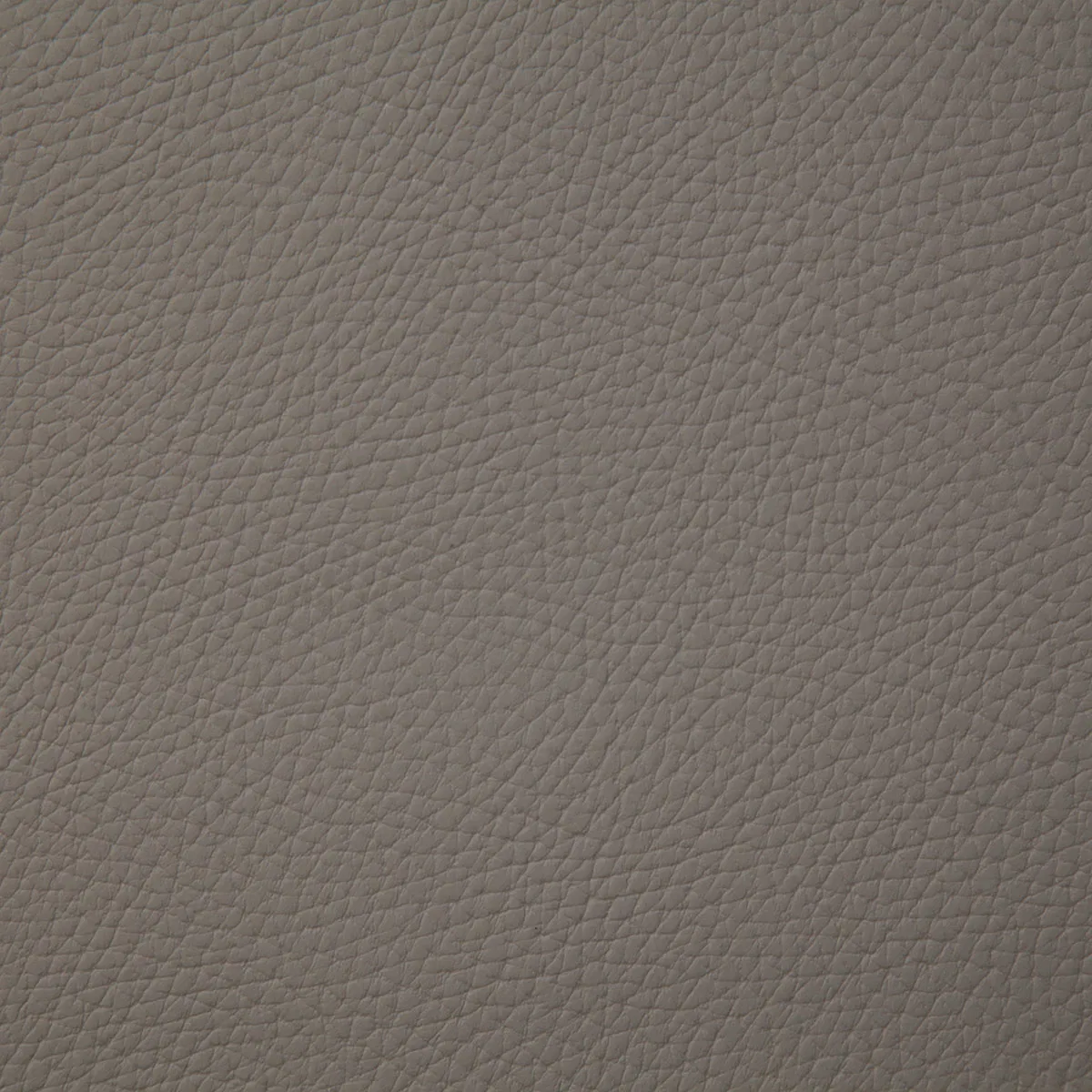 Pindler & Pindler Bandero Taupe Fabric
